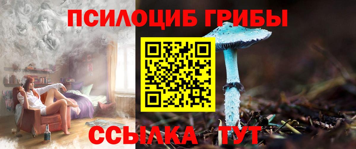 Псилоцибиновые грибы Psilocybine cubensis Валуйки
